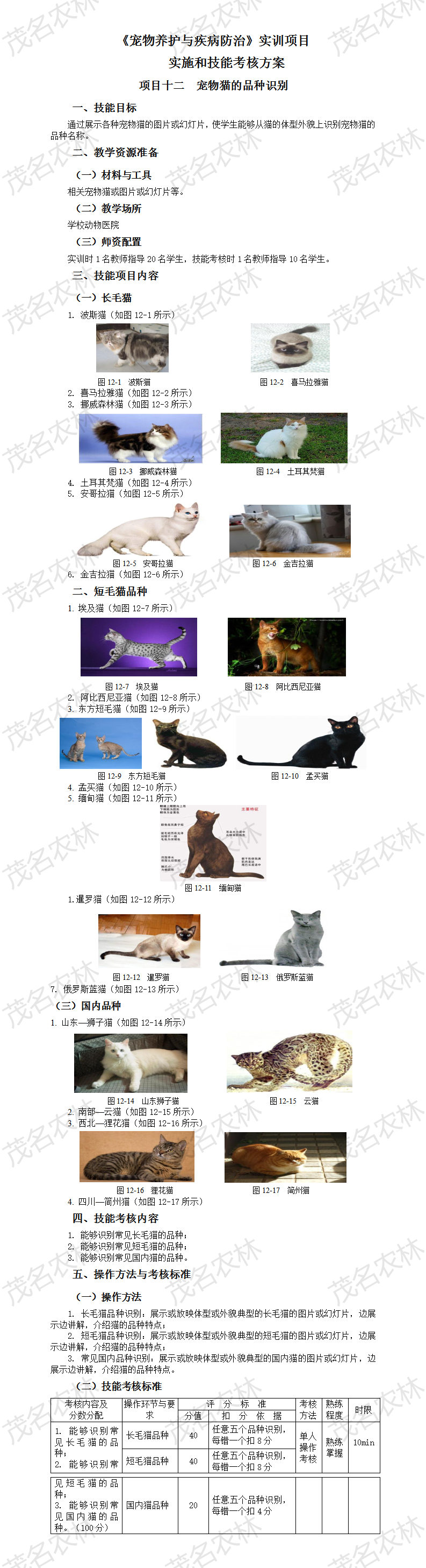 实训12 宠物猫的品种识别.png